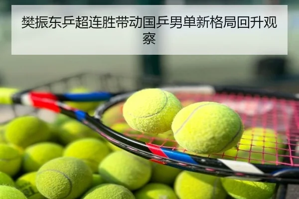 樊振东乒超连胜带动国乒男单新格局回升观察