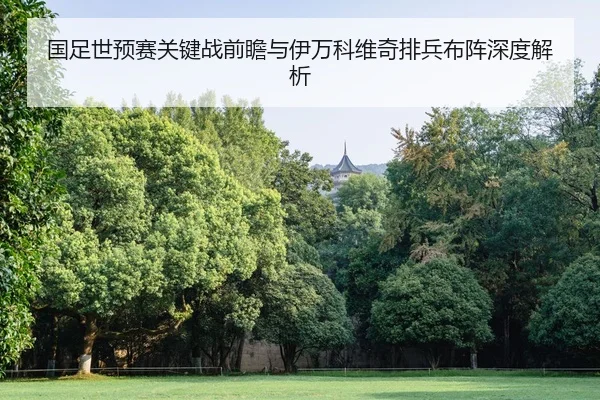 国足世预赛关键战前瞻与伊万科维奇排兵布阵深度解析